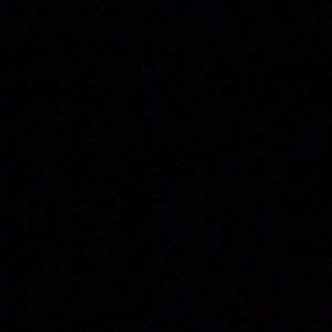 Meet your Posher, Bianca